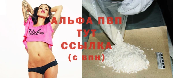 гидра Дмитриев