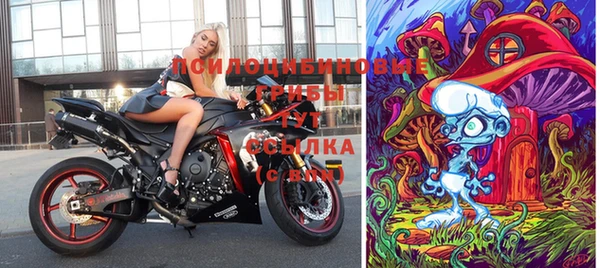 гидра Дмитриев